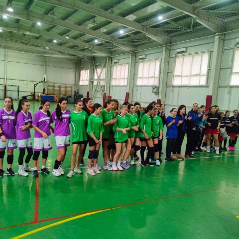 HANDBAL MANGALIA2