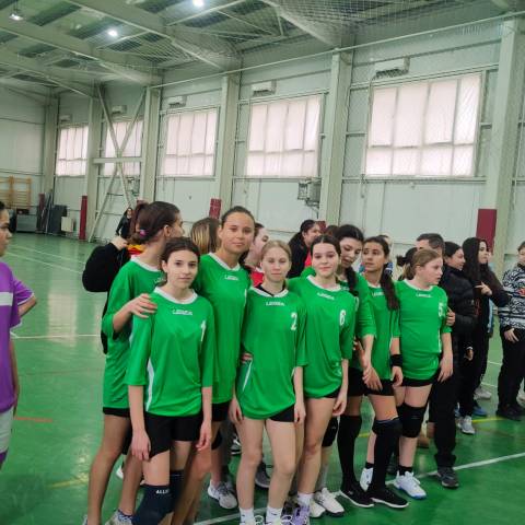 HANDBAL MANGALIA6